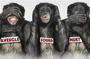 Affiche de Les bonobos