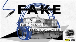Affiche de Fake - Tout est faux, tout est fou