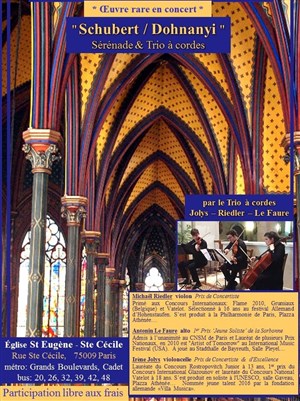 Affiche de Trio à cordes de Schubert & Dohnanyi