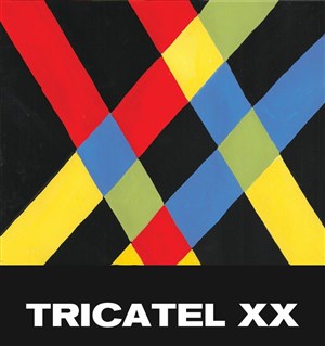 Affiche de Bertrand Burgalat