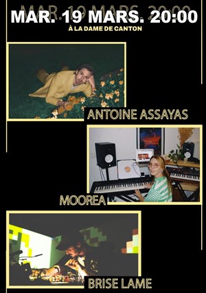 Affiche de Antoine Assayas + Moorea + Brise Lame