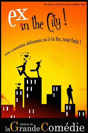 Affiche de Ex in the city