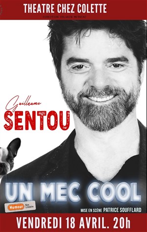 Affiche de Guillaume Sentou dans Un mec cool