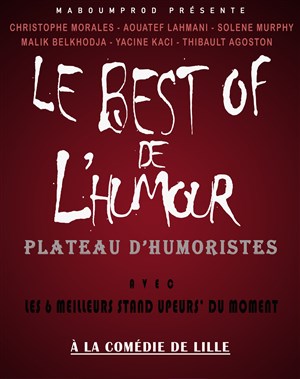 Affiche de Le best off de l'humour