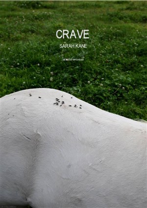 Affiche de Crave