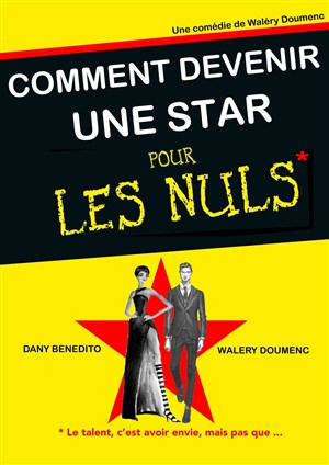 Affiche de Comment devenir une star pour les nuls