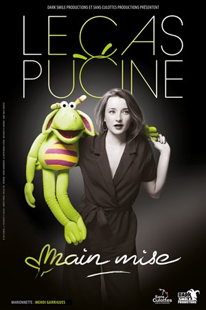 Affiche de Le Cas Pucine dans Main mise