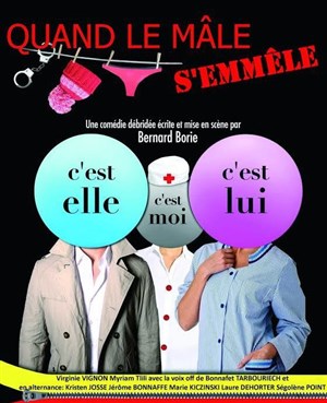 Affiche de Quand le mâle s'emmêle