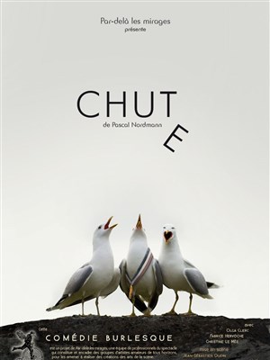 Affiche de Chute