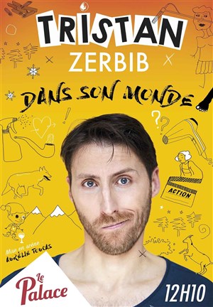 Affiche de Tristan Zerbib dans Tristan Zerbib dans son monde
