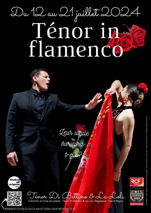 Affiche de Ténor in flamenco