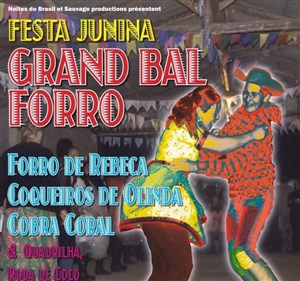 Affiche de Festa Junina | Grand bal forro