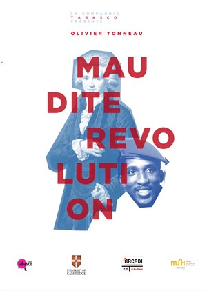 Affiche de Maudite révolution