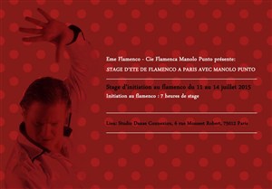 Affiche de Stage d'initiation au flamenco avec Manolo Punto
