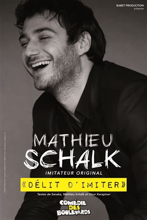 Affiche de Mathieu Schalk dans Délit d'imiter