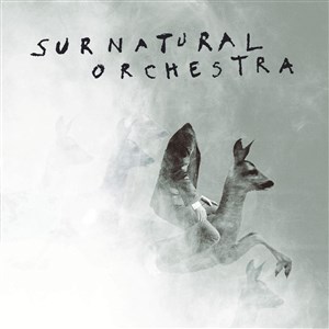 Affiche de Surnatural Orchestra