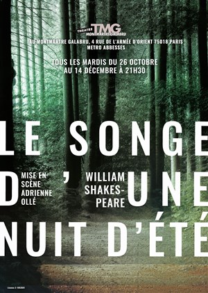 Affiche de Le songe d'une nuit d'été
