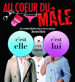 Affiche de Au coeur du mâle