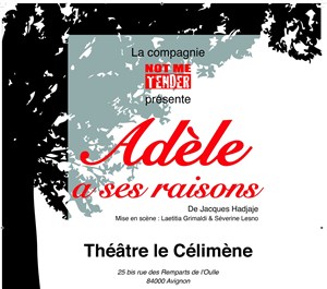 Affiche de Adèle a ses raisons