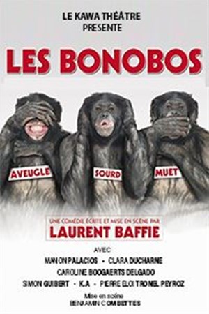 Affiche de Les Bonobos