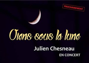 Affiche de Julien Chesneau