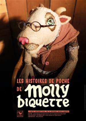 Affiche de Les histoires de poche de Molly Biquette