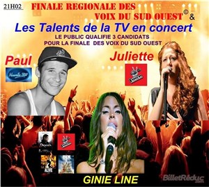Affiche de Les Talents de la TV en Concert