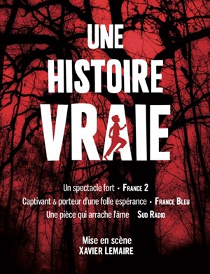 Affiche de Une histoire vraie
