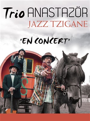 Affiche de Trio Anastazör