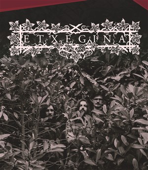 Affiche de Etxegiña