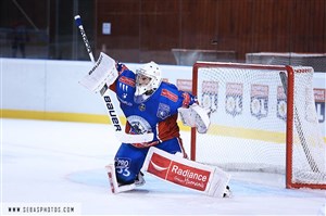 Affiche de LHC les Lions / Mulhouse