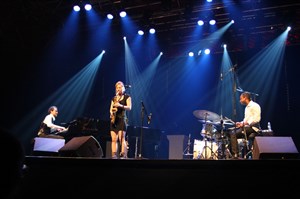 Affiche de Dreisam trio