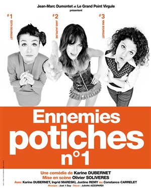 Affiche de Ennemies potiches n°1