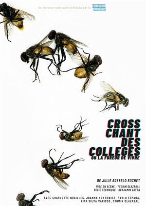Affiche de Cross chant des collèges