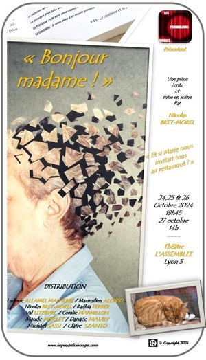 Affiche de Bonjour madame !