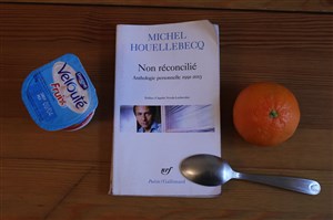Affiche de Lecture Non réconcilié, poèmes de Michel Houellebecq