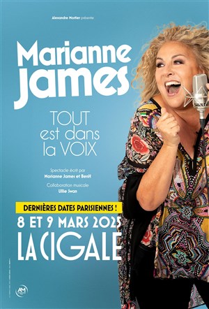 Affiche de Marianne James dans Tout est dans la voix
