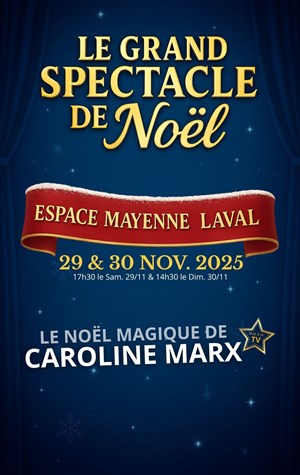 Affiche de Le Noël magique de Caroline Marx