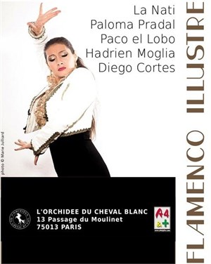Affiche de Flamenco Illustré