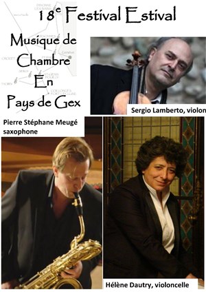 Affiche de Ensemble de cordes du Festival Cello Arte