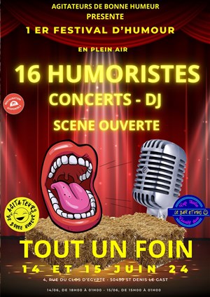 Affiche de Festival Tout un foin | Pass 2 jours
