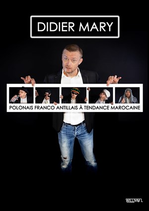 Affiche de Didier Mary dans Polonais Franco Antillais à tendance Marocaine