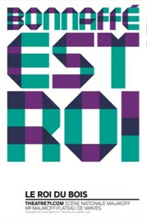 Affiche de Le Roi du bois