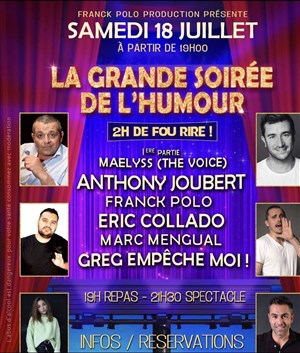 Affiche de La grande soirée de l'humour