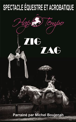Affiche de Zig zag