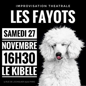Affiche de Fayots are back on stage