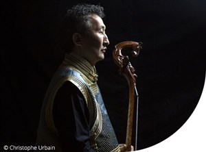 Affiche de Les Violons Barbares