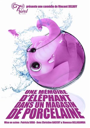 Affiche de Une mémoire d'éléphant (dans un magasin de porcelaine)