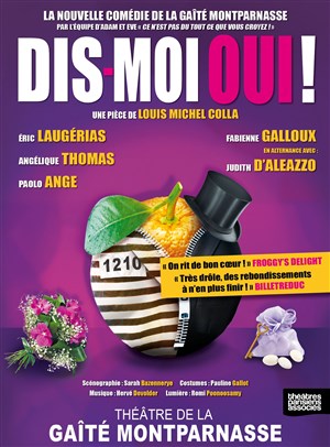 Affiche de Dis-moi oui