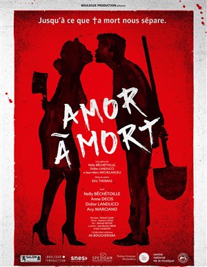 Affiche de Amor à Mort